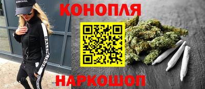 стафф Краснодар