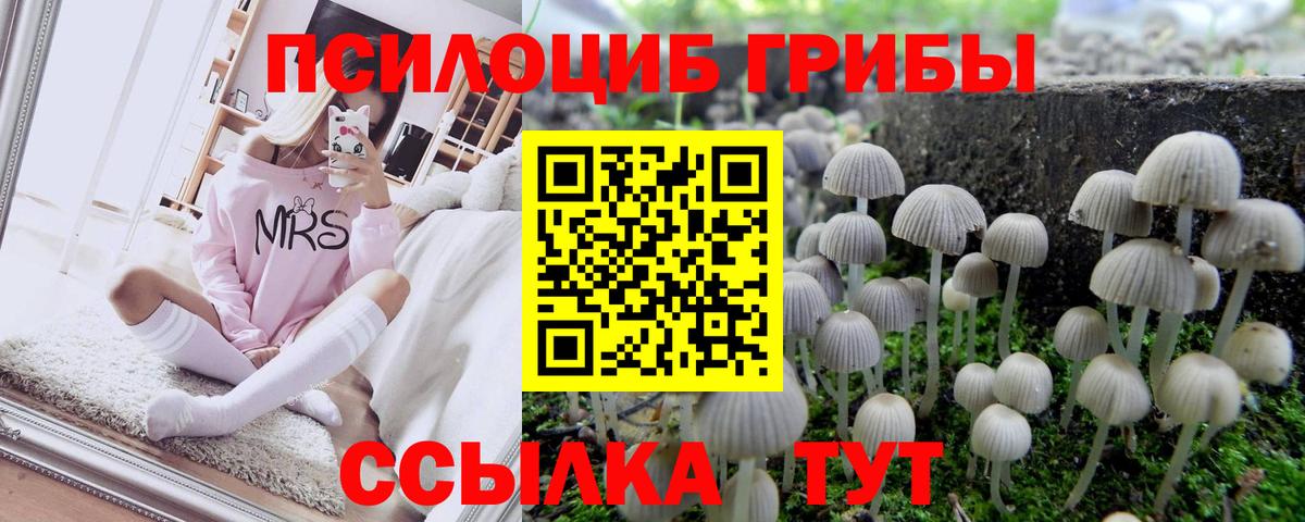 Псилоцибиновые грибы ЛСД Североуральск