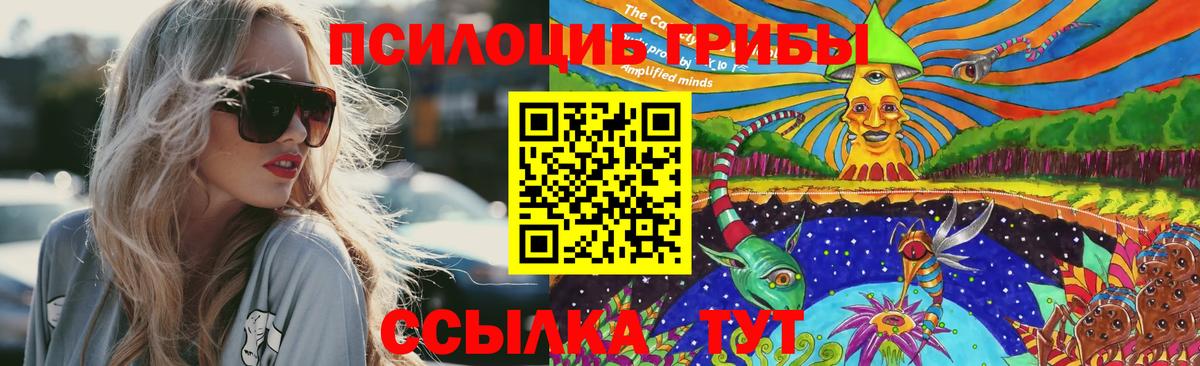 цены наркотик  Вход с VPN  Североуральск  Псилоцибиновые грибы мицелий 